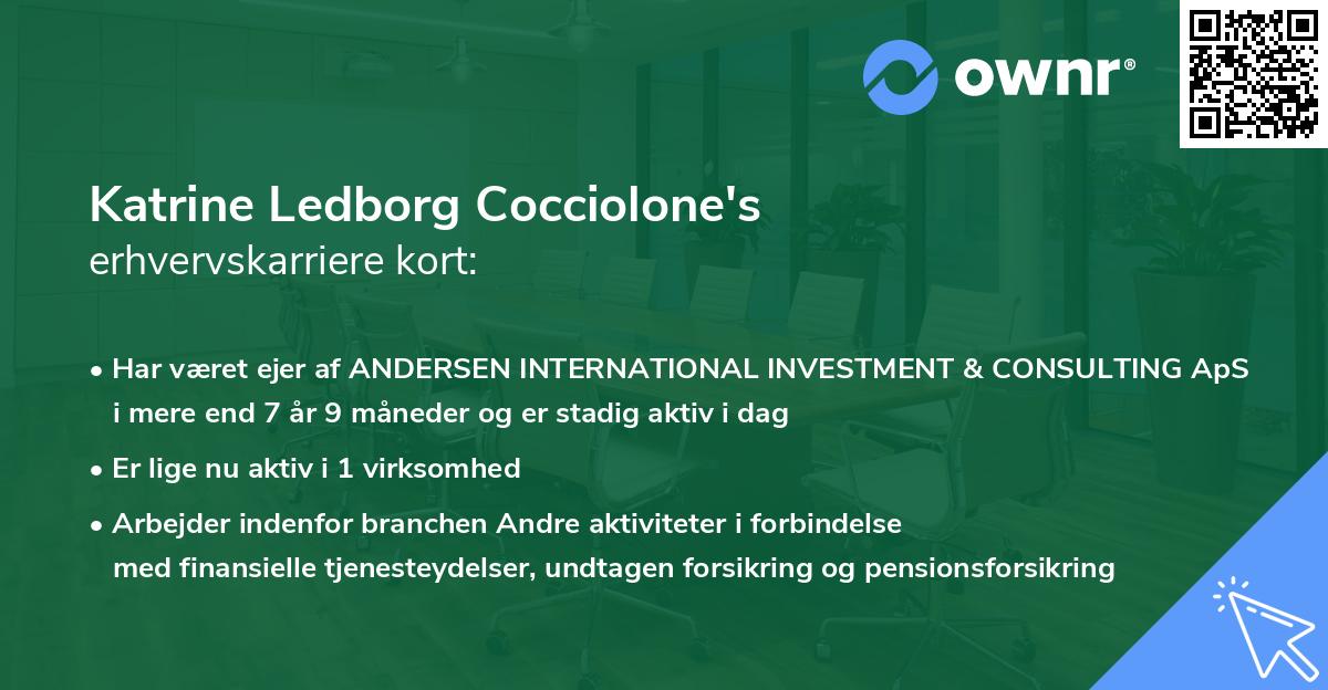 Katrine Ledborg Cocciolone's erhvervskarriere kort
