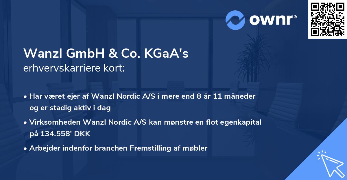 Wanzl GmbH & Co. KGaA's erhvervskarriere kort