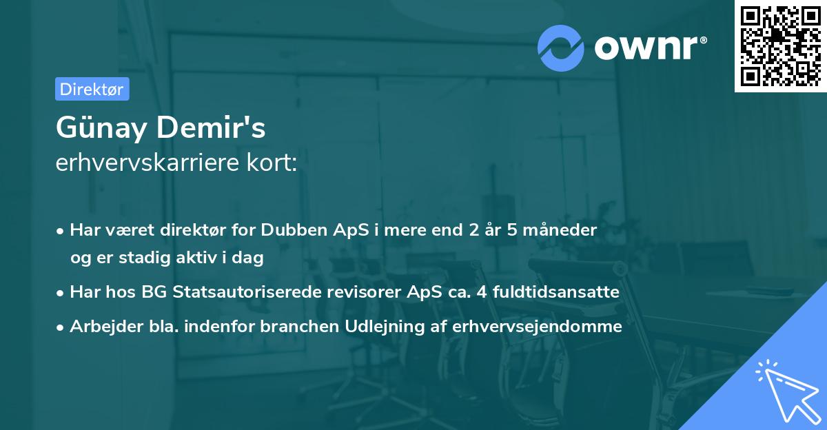 Günay Demir's erhvervskarriere kort