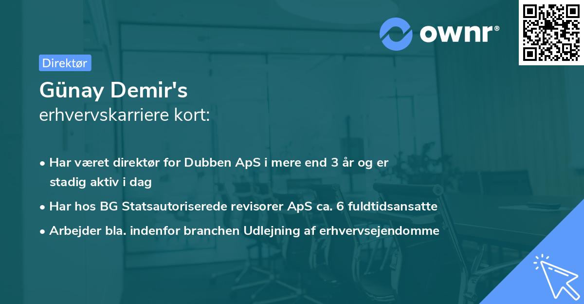 Günay Demir's erhvervskarriere kort