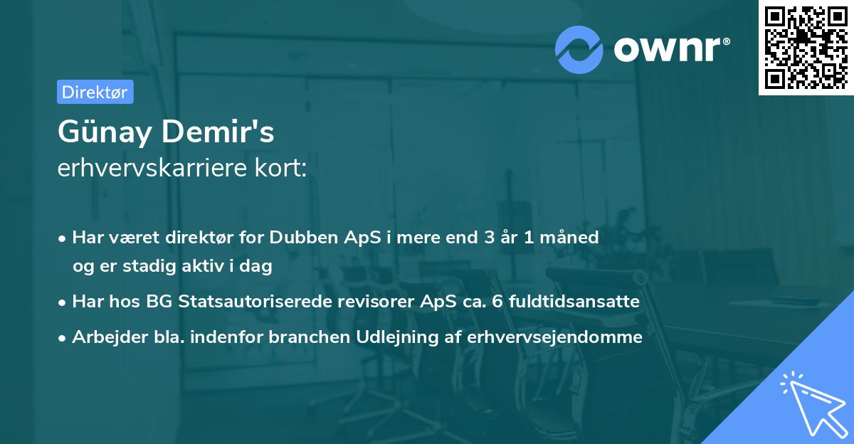 Günay Demir's erhvervskarriere kort