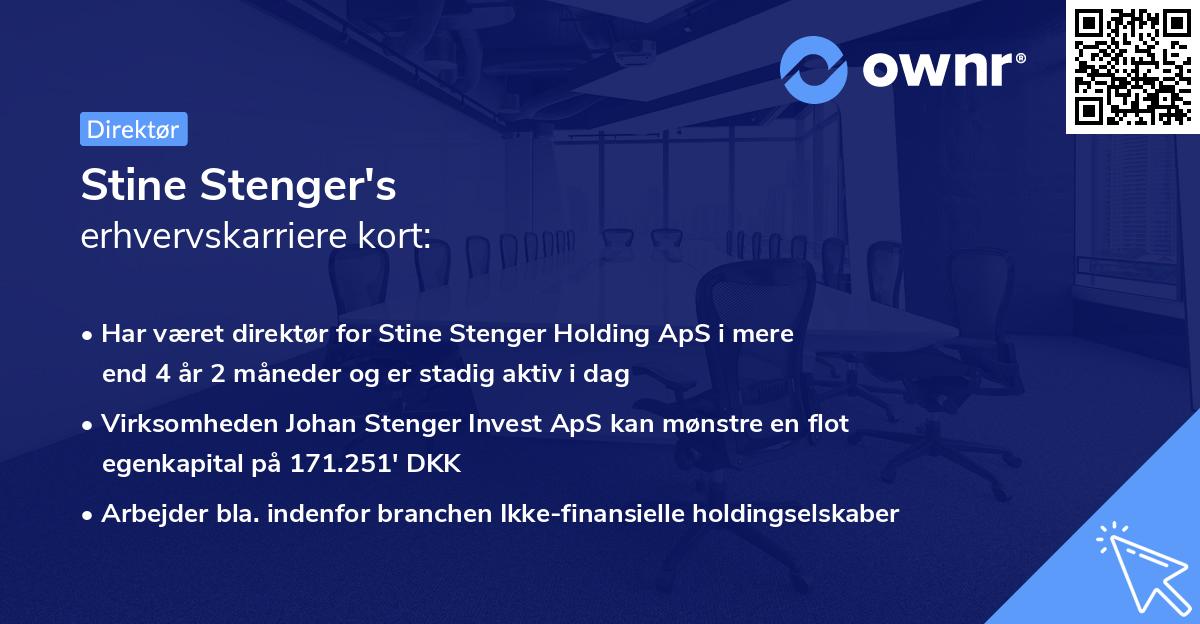 Stine Stenger's erhvervskarriere kort