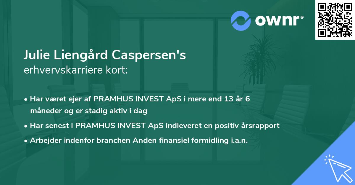 Julie Liengård Caspersen's erhvervskarriere kort
