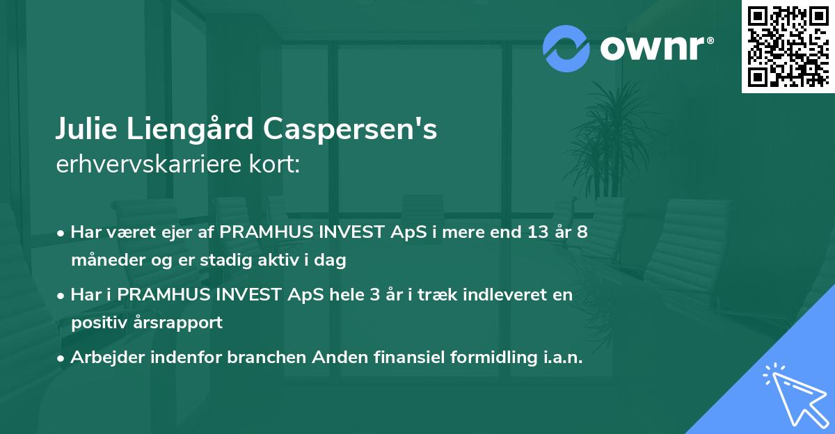 Julie Liengård Caspersen's erhvervskarriere kort