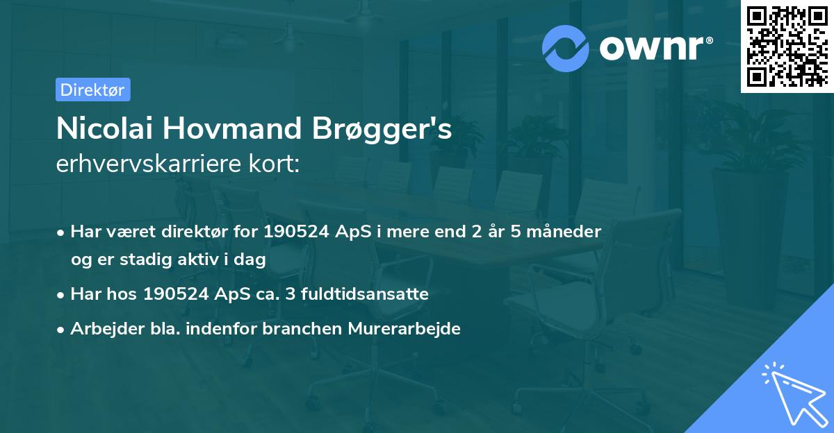 Nicolai Hovmand Brøgger's erhvervskarriere kort