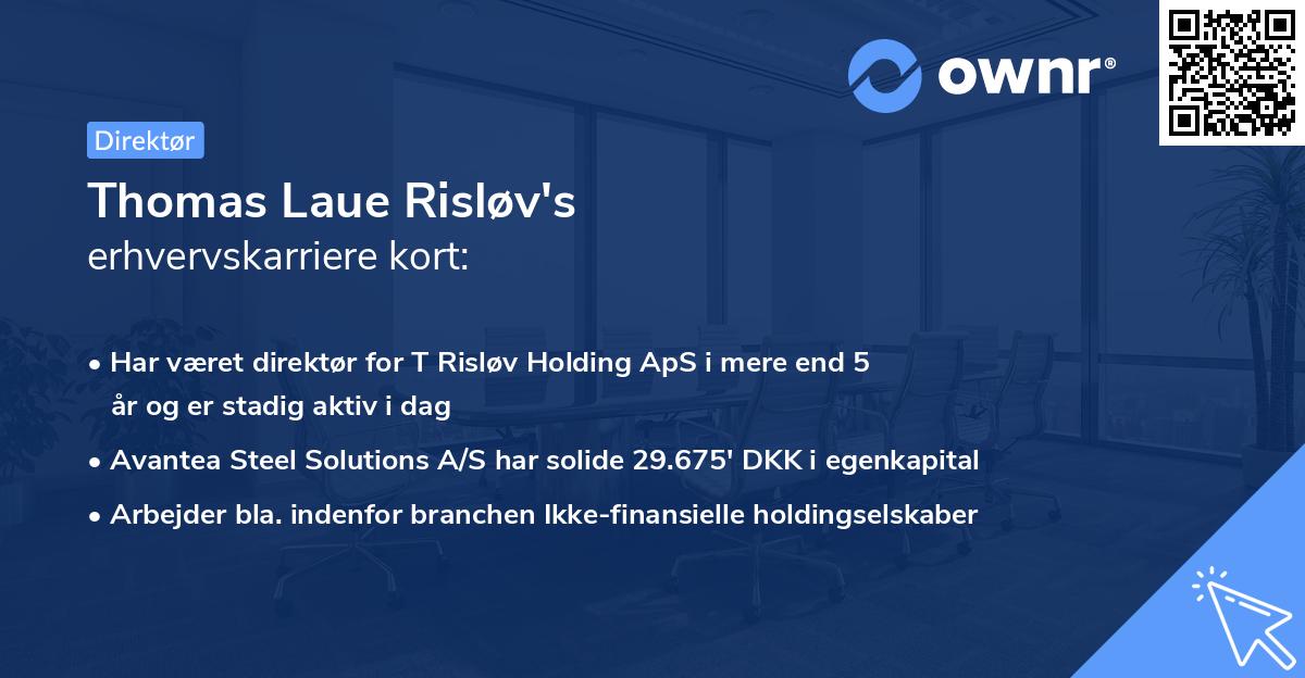 Thomas Laue Risløv's erhvervskarriere kort