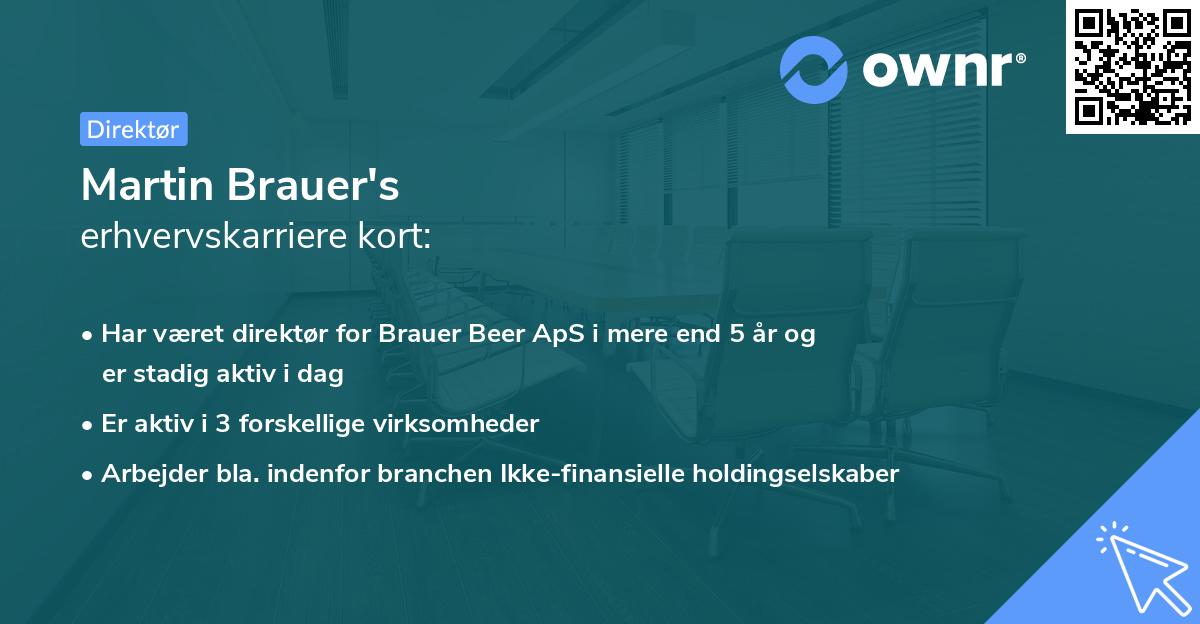Martin Brauer's erhvervskarriere kort