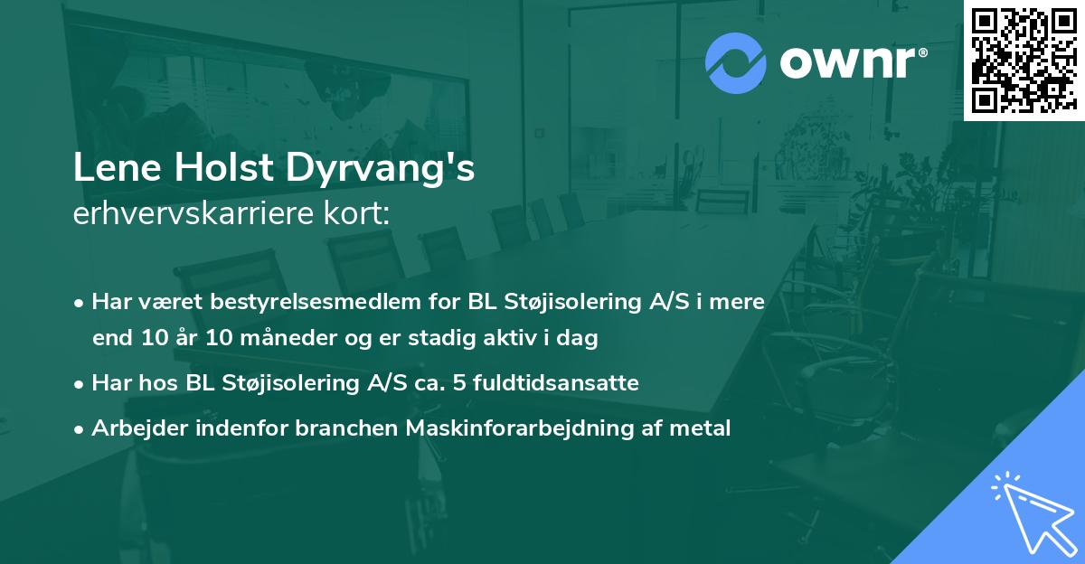 Lene Holst Dyrvang's erhvervskarriere kort