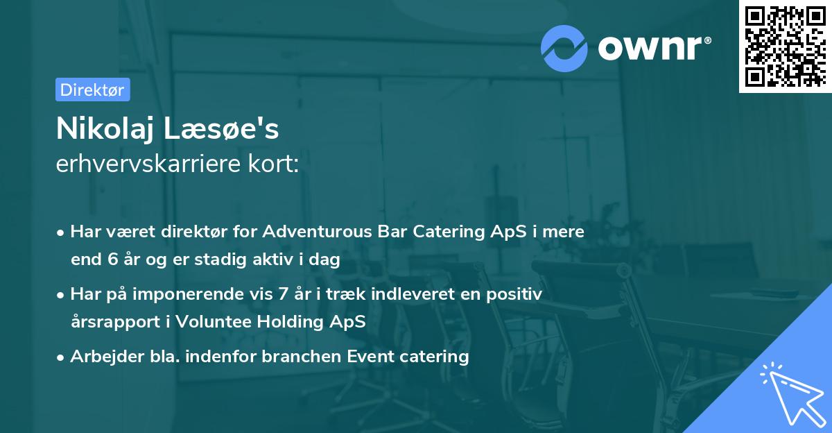 Nikolaj Læsøe's erhvervskarriere kort
