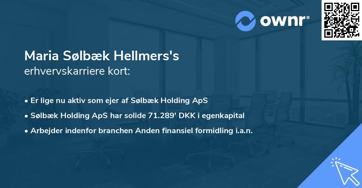 Maria Sølbæk Hellmers's erhvervskarriere kort