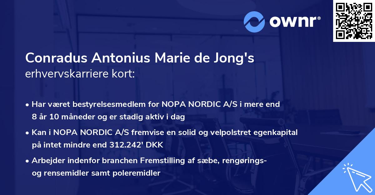 Conradus Antonius Marie de Jong's erhvervskarriere kort