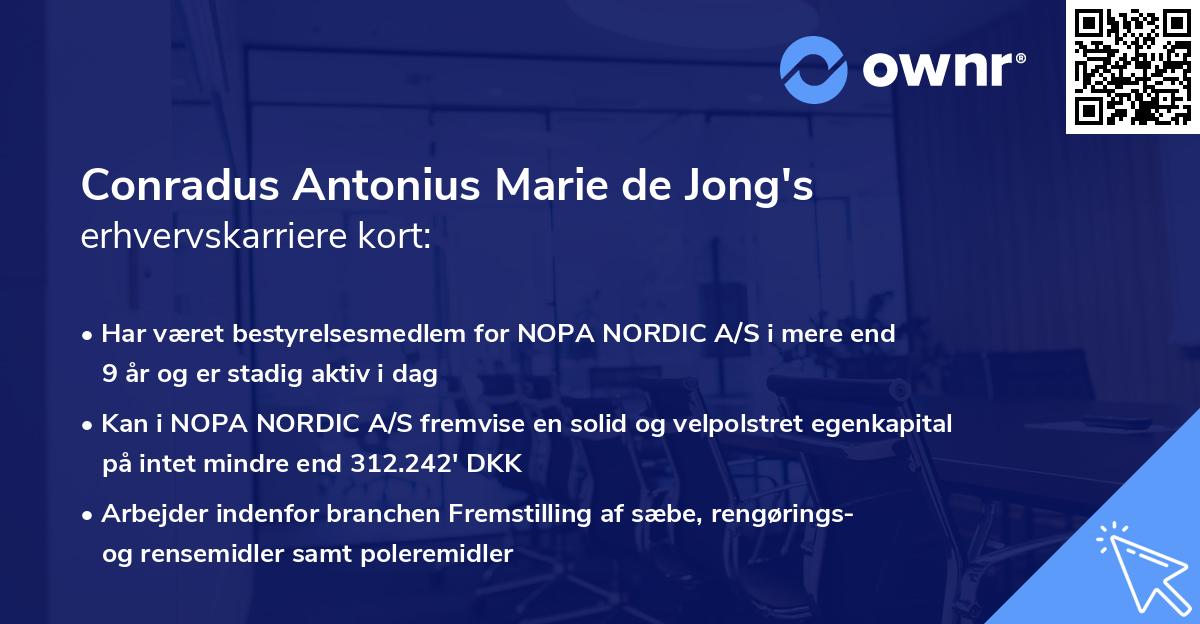 Conradus Antonius Marie de Jong's erhvervskarriere kort