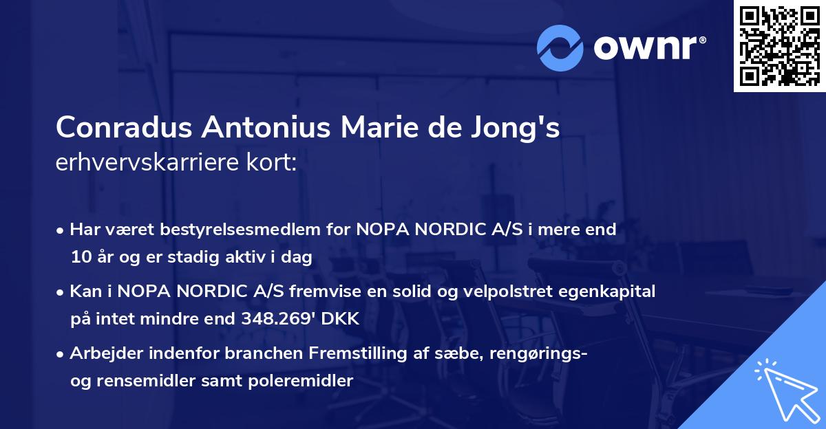 Conradus Antonius Marie de Jong's erhvervskarriere kort