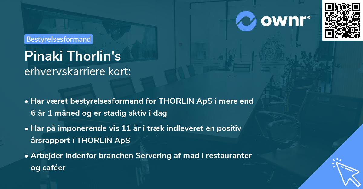 Pinaki Thorlin's erhvervskarriere kort