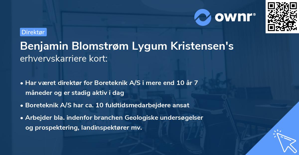 Benjamin Blomstrøm Lygum Kristensen's erhvervskarriere kort