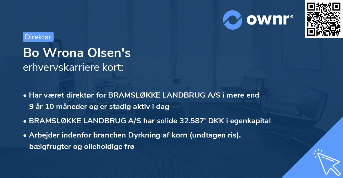 Bo Wrona Olsen's erhvervskarriere kort