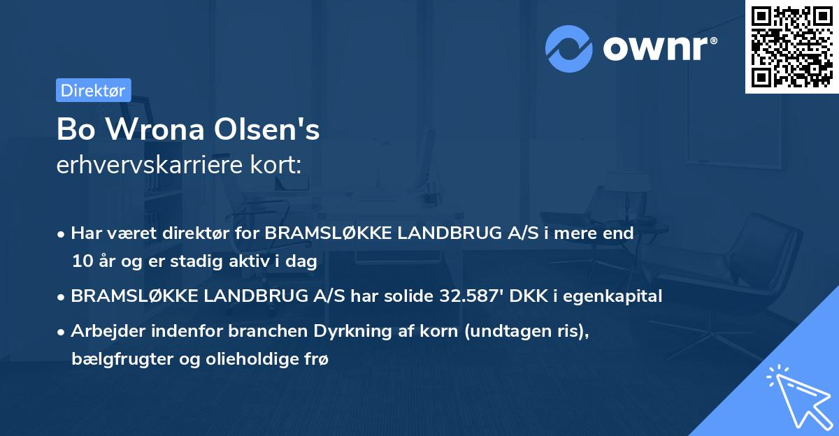 Bo Wrona Olsen's erhvervskarriere kort