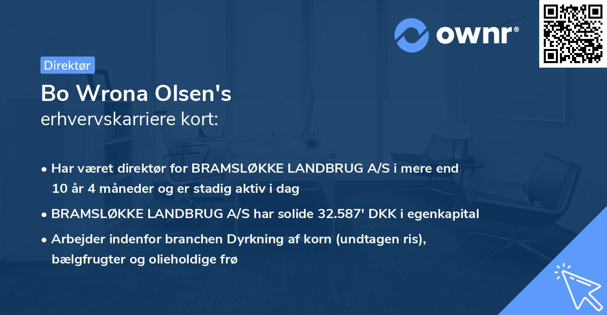 Bo Wrona Olsen's erhvervskarriere kort
