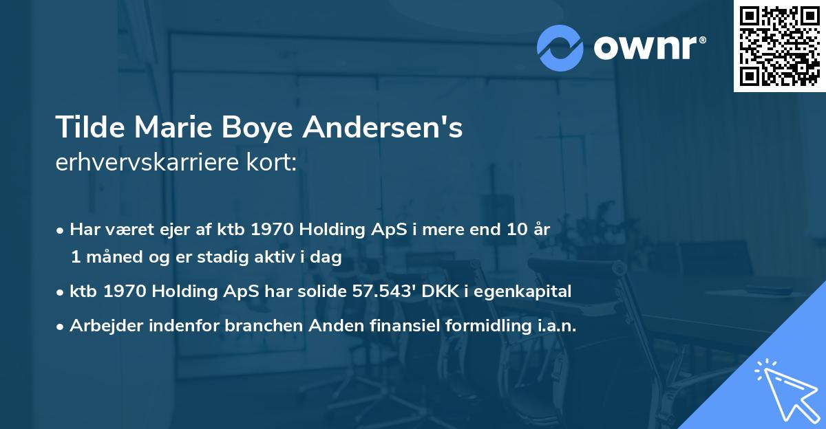 Tilde Marie Boye Andersen's erhvervskarriere kort