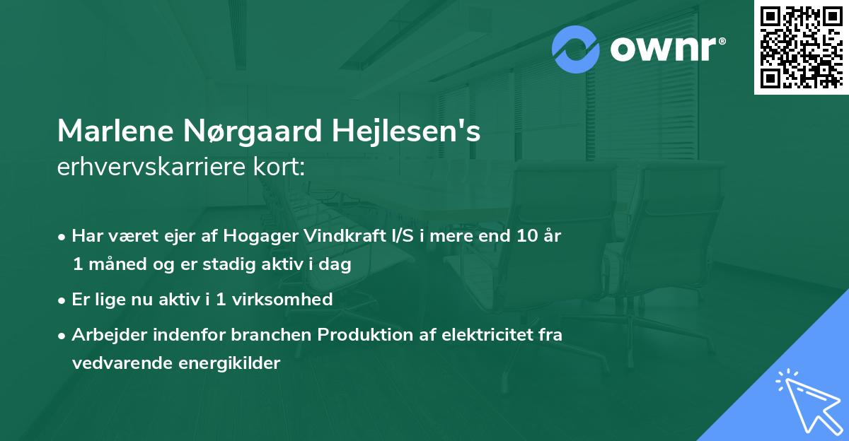 Marlene Nørgaard Hejlesen's erhvervskarriere kort