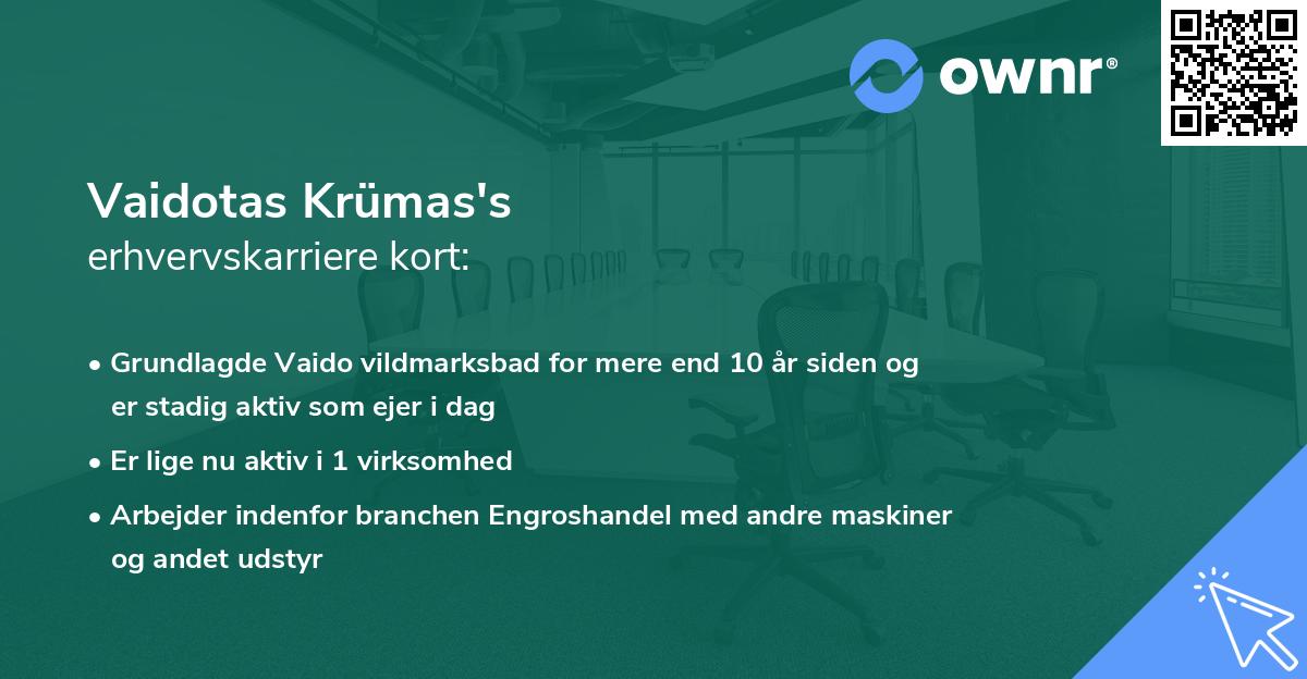 Vaidotas Krümas's erhvervskarriere kort