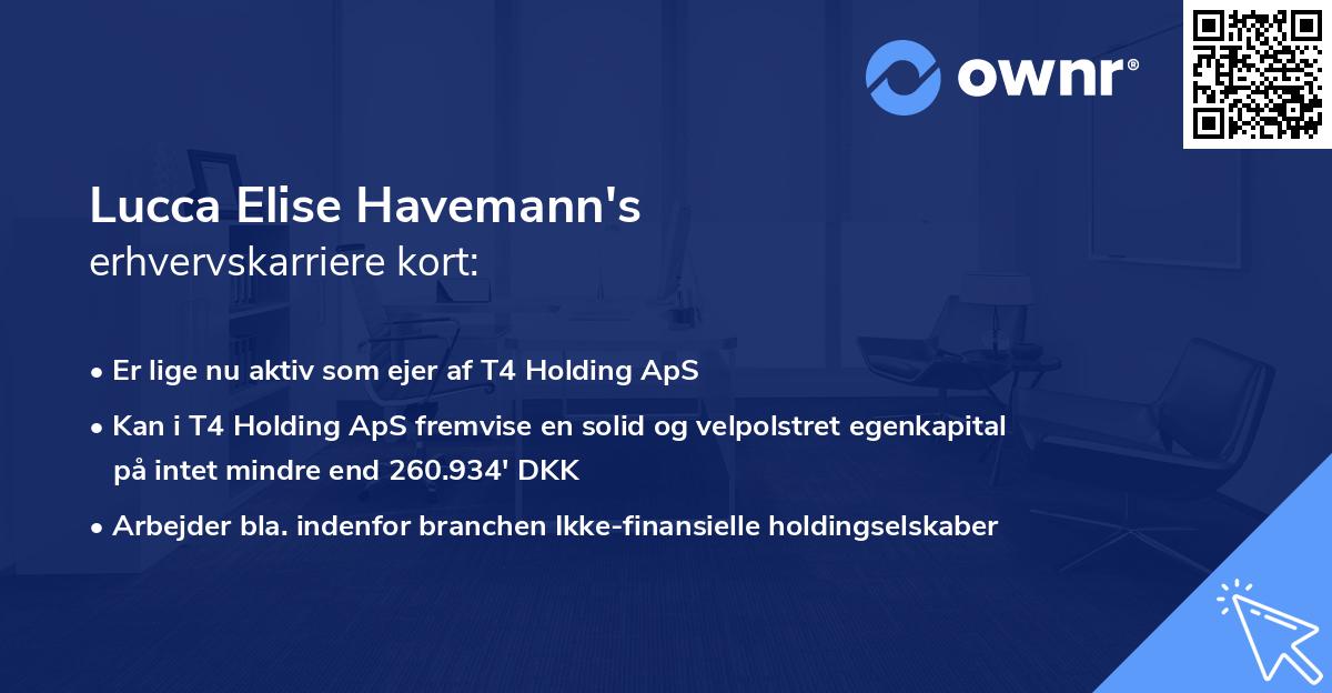 Lucca Elise Havemann's erhvervskarriere kort