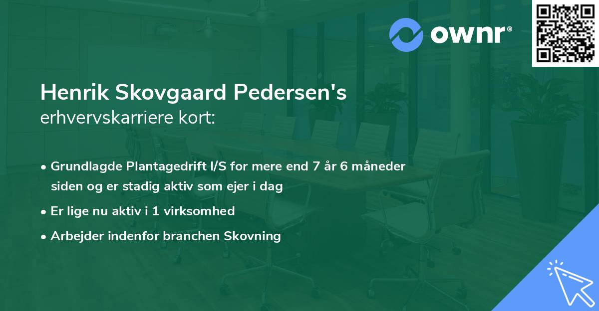 Henrik Skovgaard Pedersen's erhvervskarriere kort