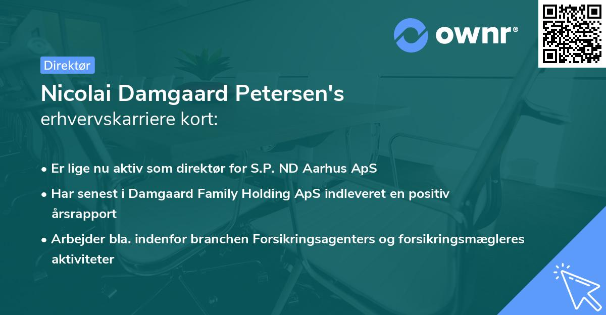 Nicolai Damgaard Petersen's erhvervskarriere kort
