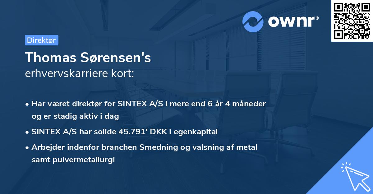 Thomas Sørensen's erhvervskarriere kort