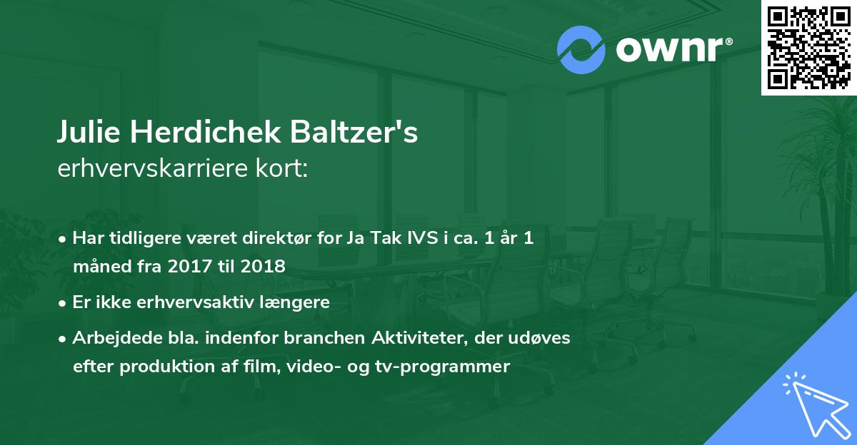 Julie Herdichek Baltzer's erhvervskarriere kort