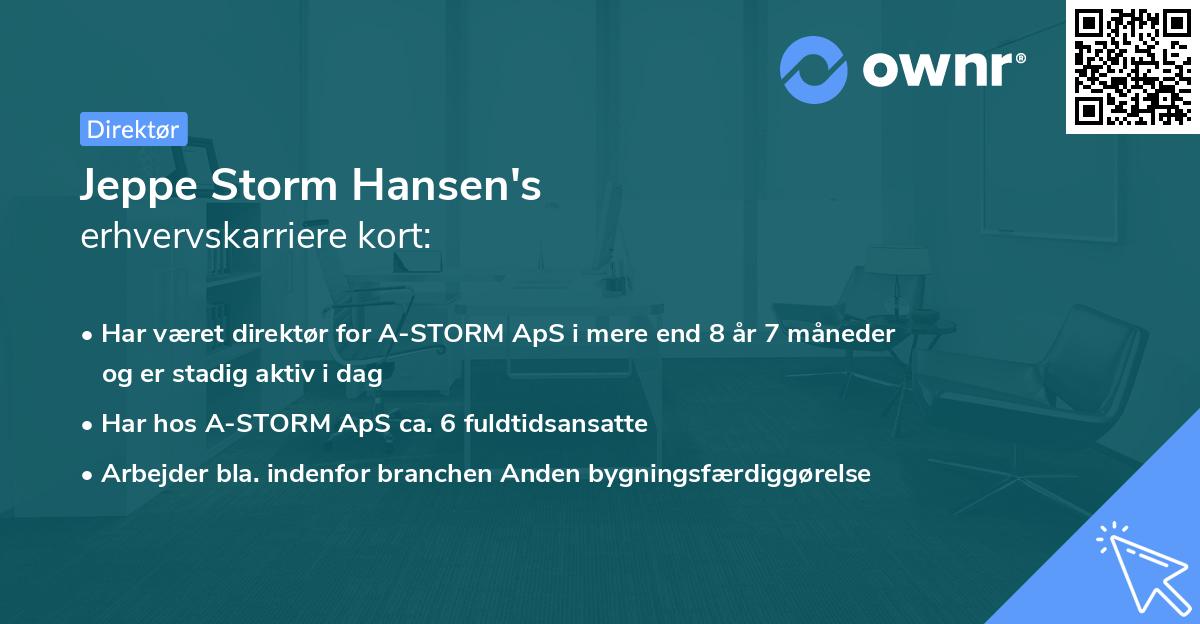 Jeppe Storm Hansen's erhvervskarriere kort