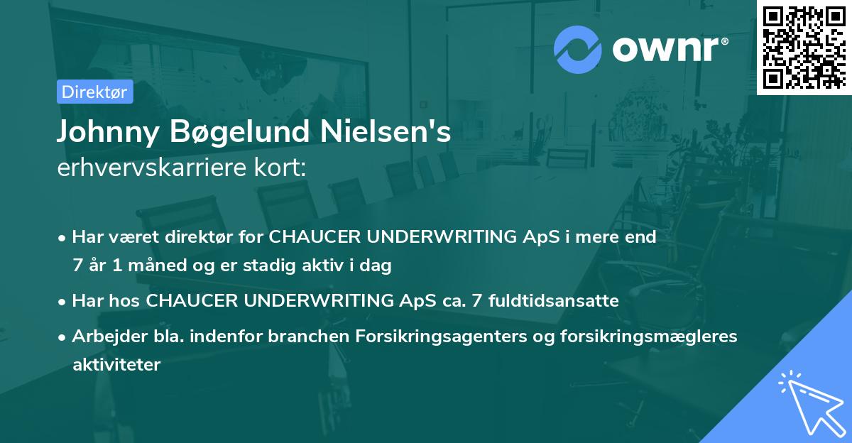 Johnny Bøgelund Nielsen's erhvervskarriere kort
