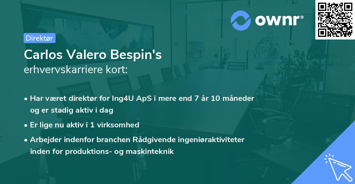 Carlos Valero Bespin's erhvervskarriere kort