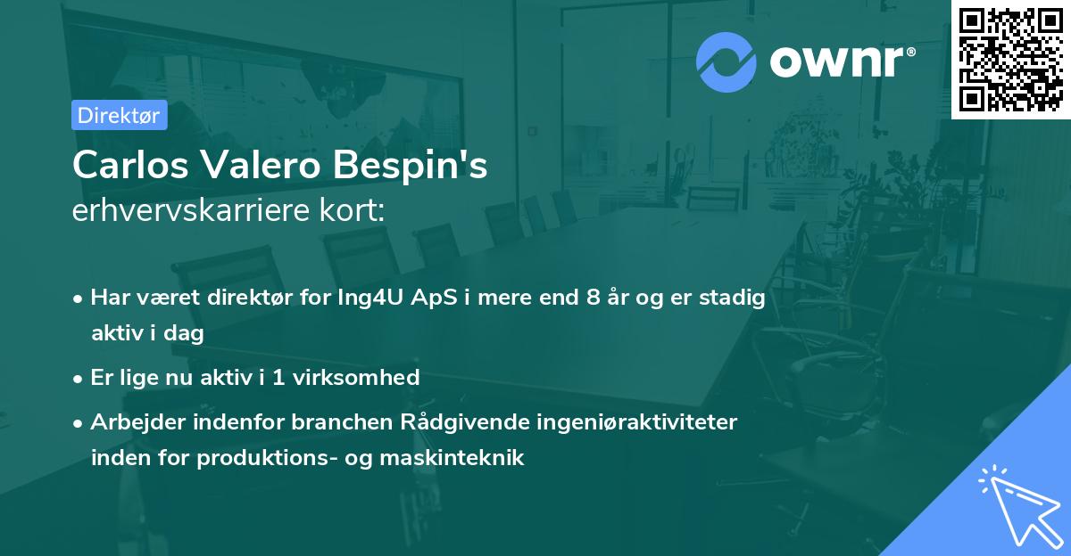 Carlos Valero Bespin's erhvervskarriere kort
