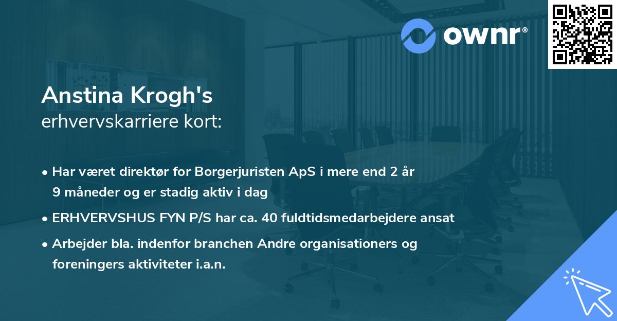 Anstina Krogh's erhvervskarriere kort