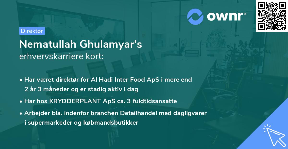 Nematullah Ghulamyar's erhvervskarriere kort