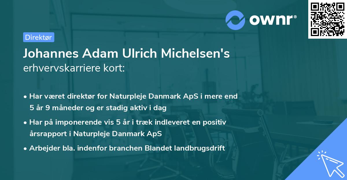 Johannes Adam Ulrich Michelsen's erhvervskarriere kort