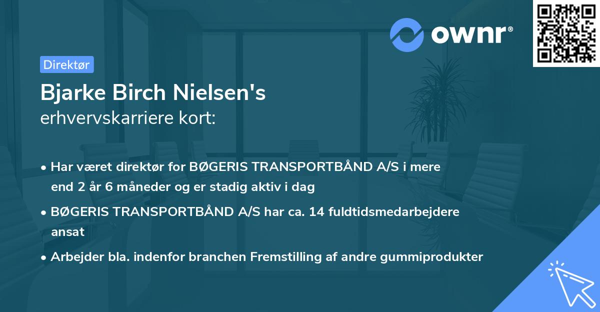 Bjarke Birch Nielsen's erhvervskarriere kort