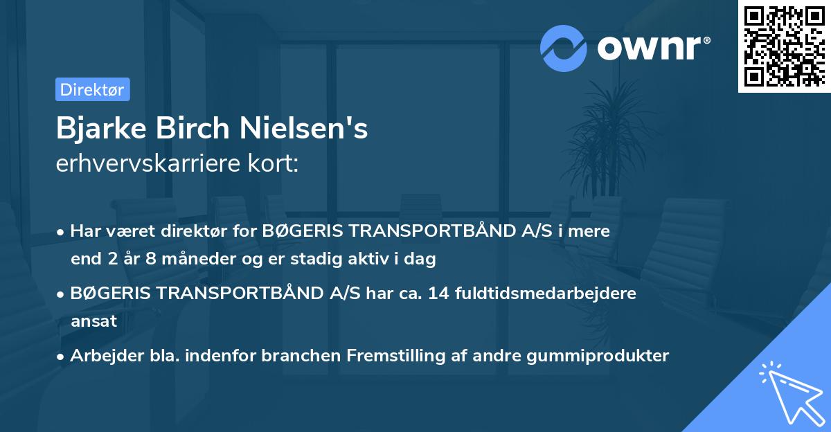 Bjarke Birch Nielsen's erhvervskarriere kort