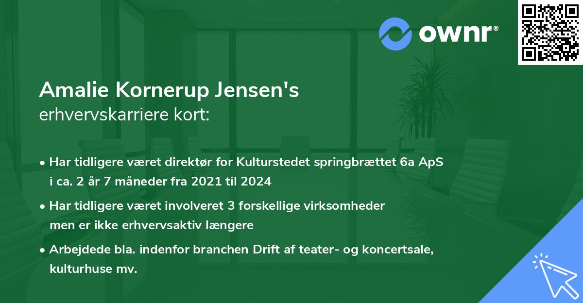 Amalie Kornerup Jensen's erhvervskarriere kort