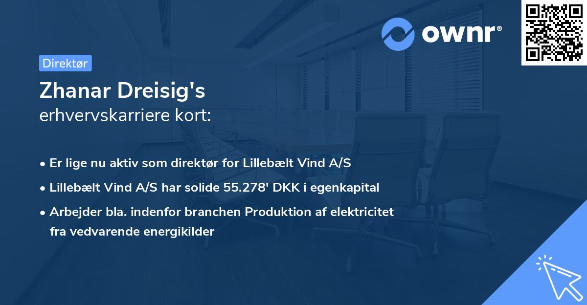 Zhanar Dreisig's erhvervskarriere kort