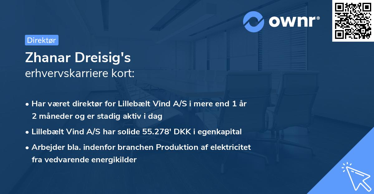 Zhanar Dreisig's erhvervskarriere kort