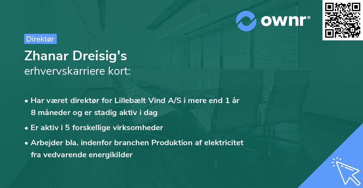 Zhanar Dreisig's erhvervskarriere kort