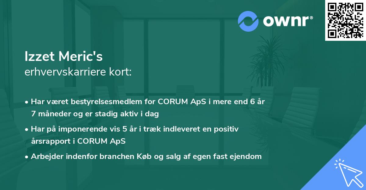 Izzet Meric's erhvervskarriere kort