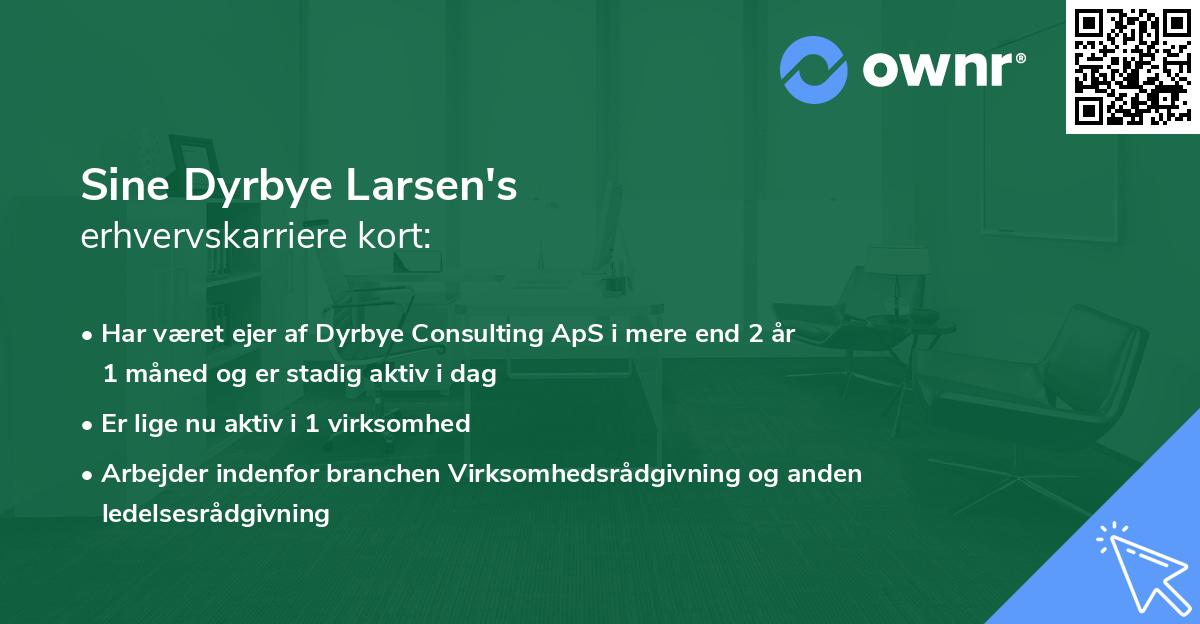 Sine Dyrbye Larsen's erhvervskarriere kort