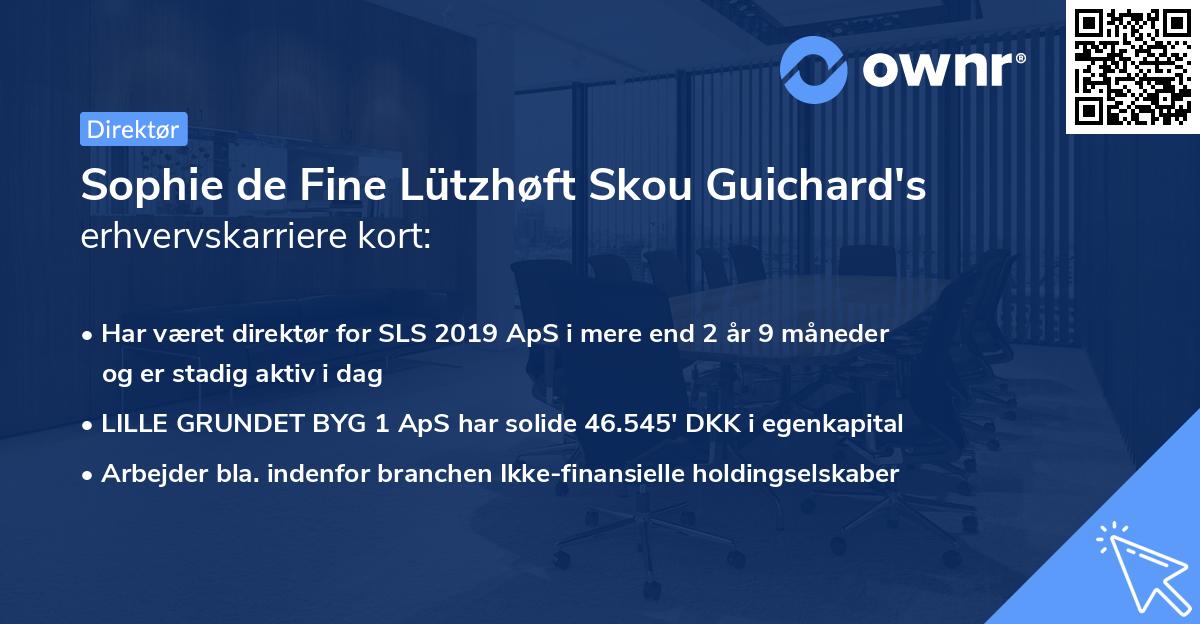 Sophie de Fine Lützhøft Skou Guichard's erhvervskarriere kort