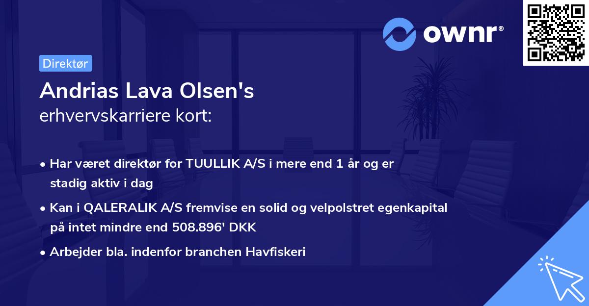 Andrias Lava Olsen's erhvervskarriere kort