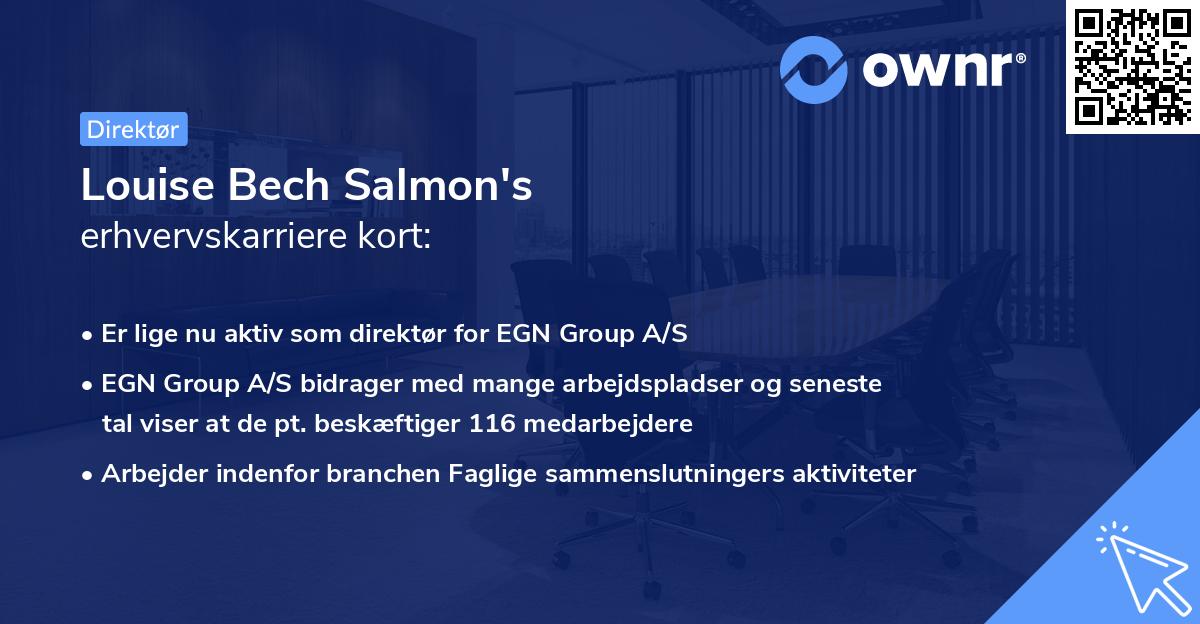 Louise Bech Salmon's erhvervskarriere kort