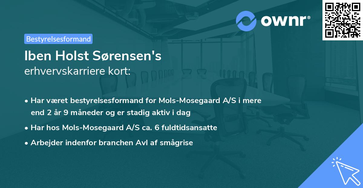 Iben Holst Sørensen's erhvervskarriere kort