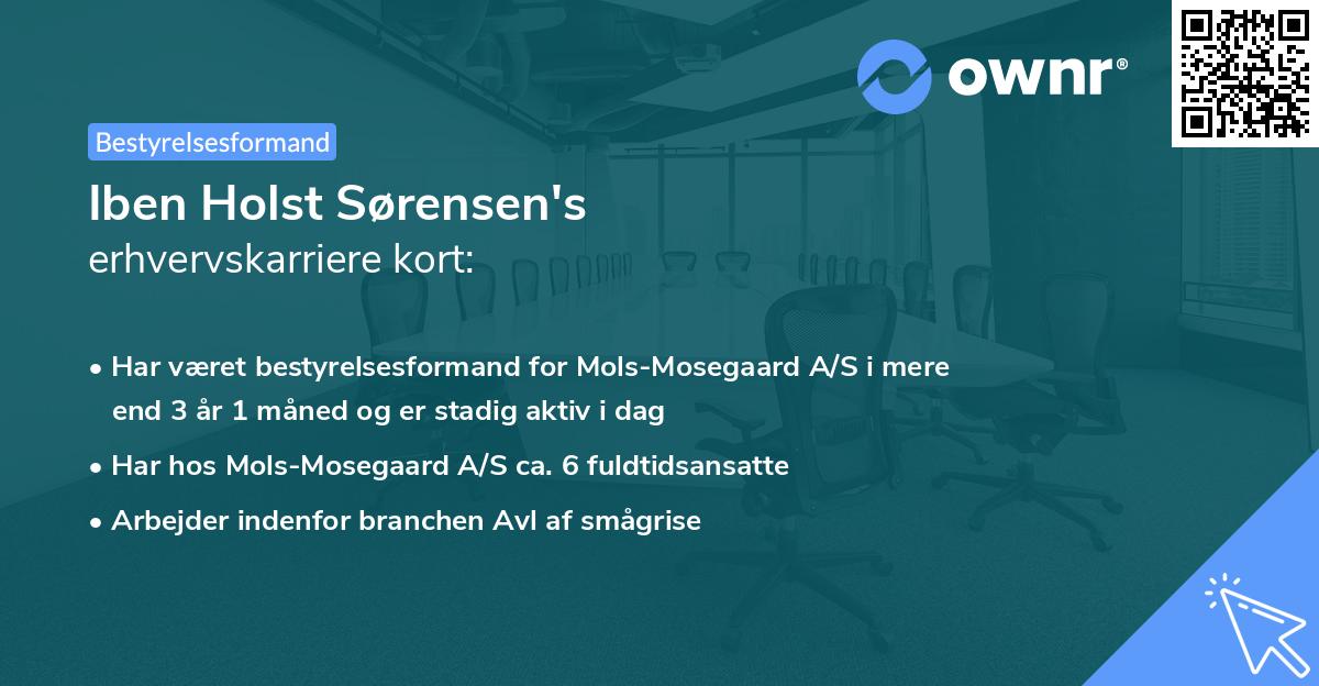 Iben Holst Sørensen's erhvervskarriere kort